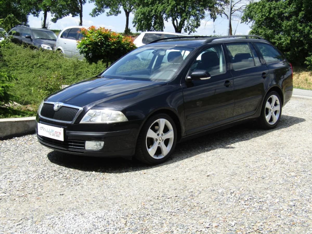 Škoda Octavia 1.9 TDI 77kW MOTOR BXE BEZ DPF, 2007