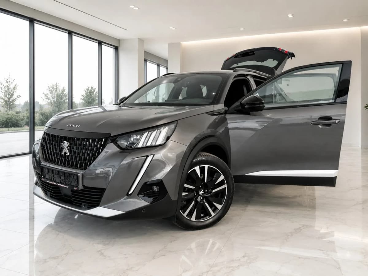 Peugeot 2008 - Obrázek 1